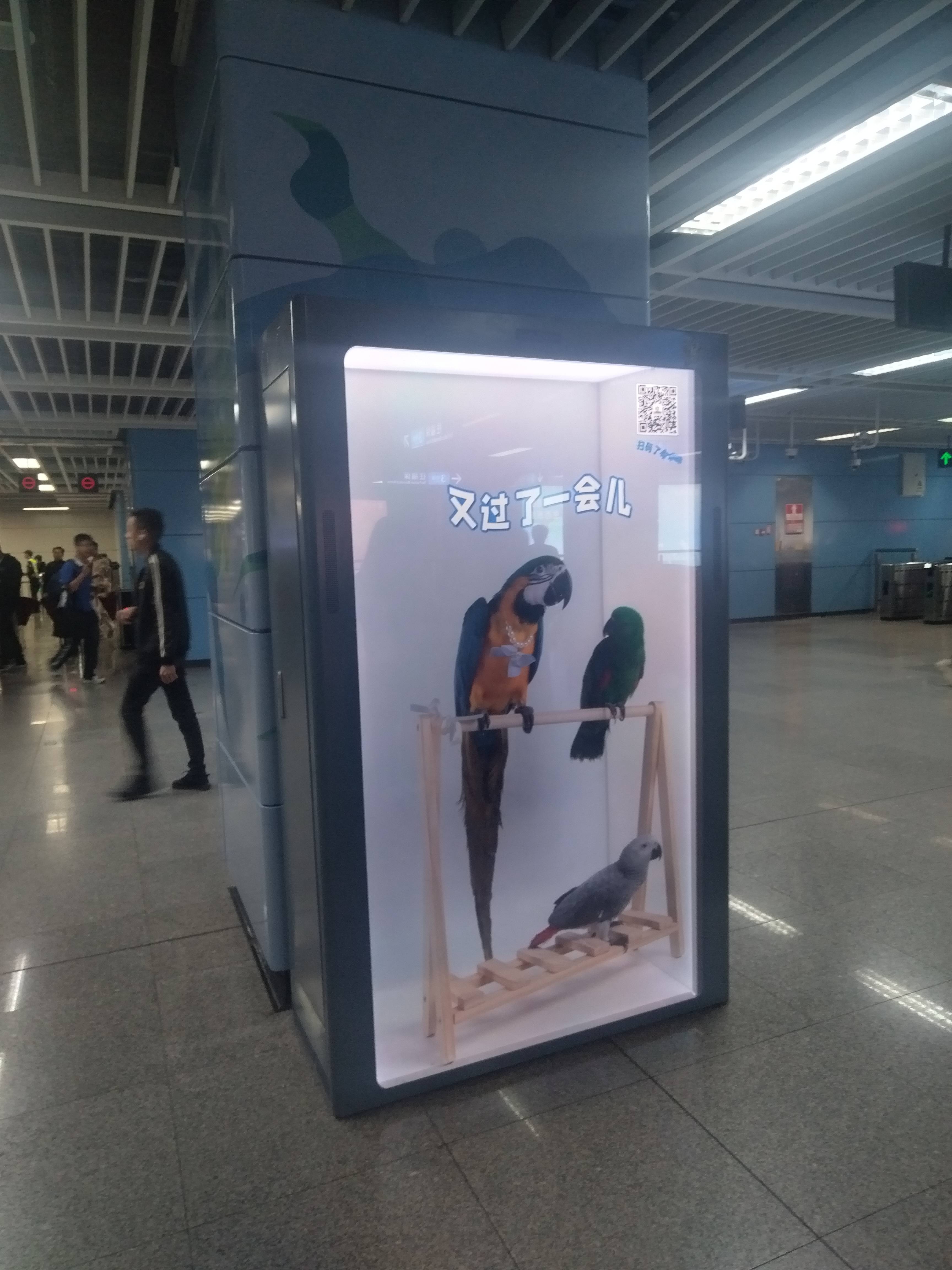 86寸透明屏展示柜