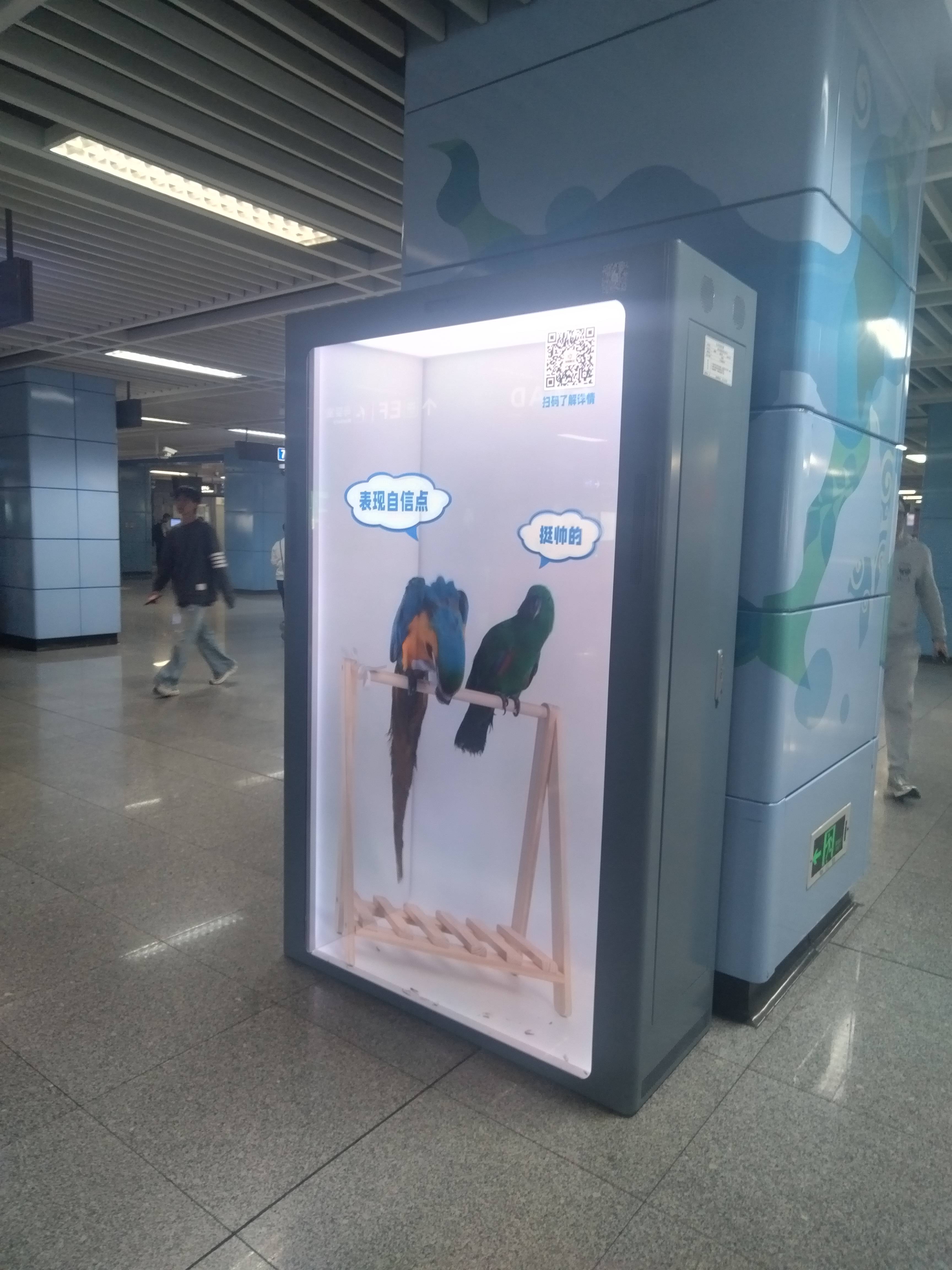 透明液晶展柜