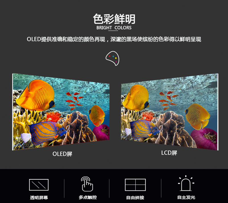 oled显示