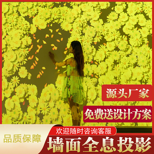 全息触碰互动投影墙面感应地面海浪互动投影3d体感互动投影餐厅沉浸式投影儿童乐园走廊地面激光互动投影厂家