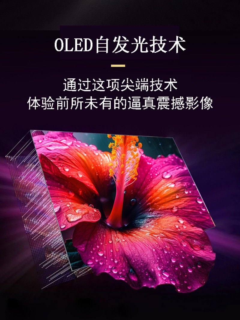 触控oled显示屏