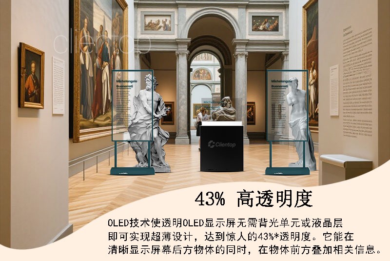 oled屏幕厂家