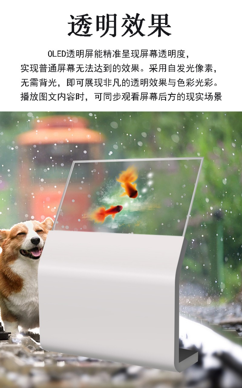 oled透明屏