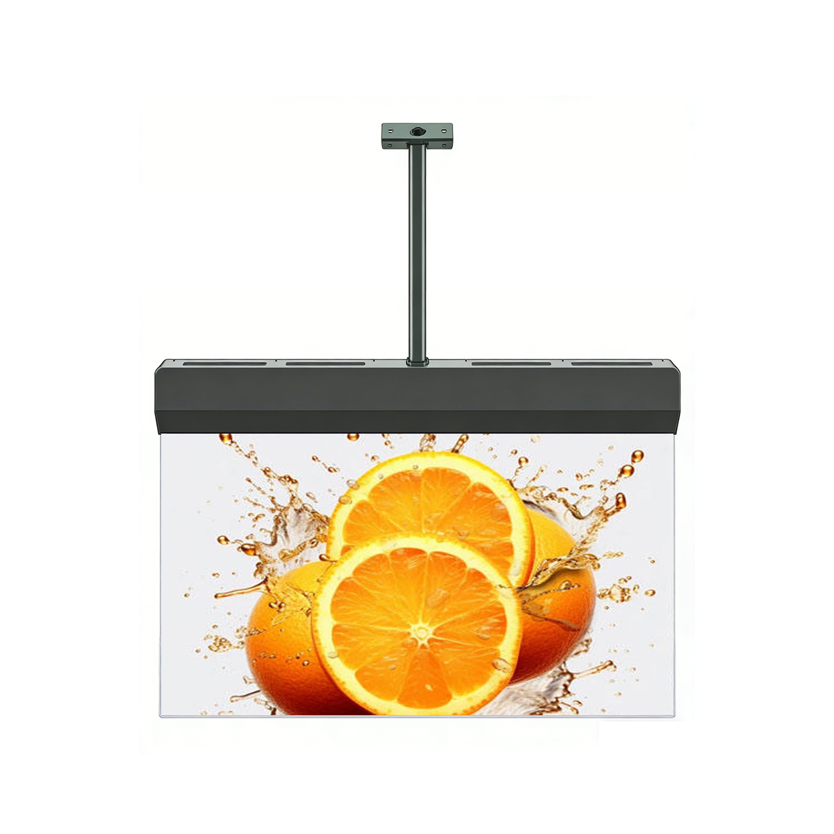 transparent oled display buy