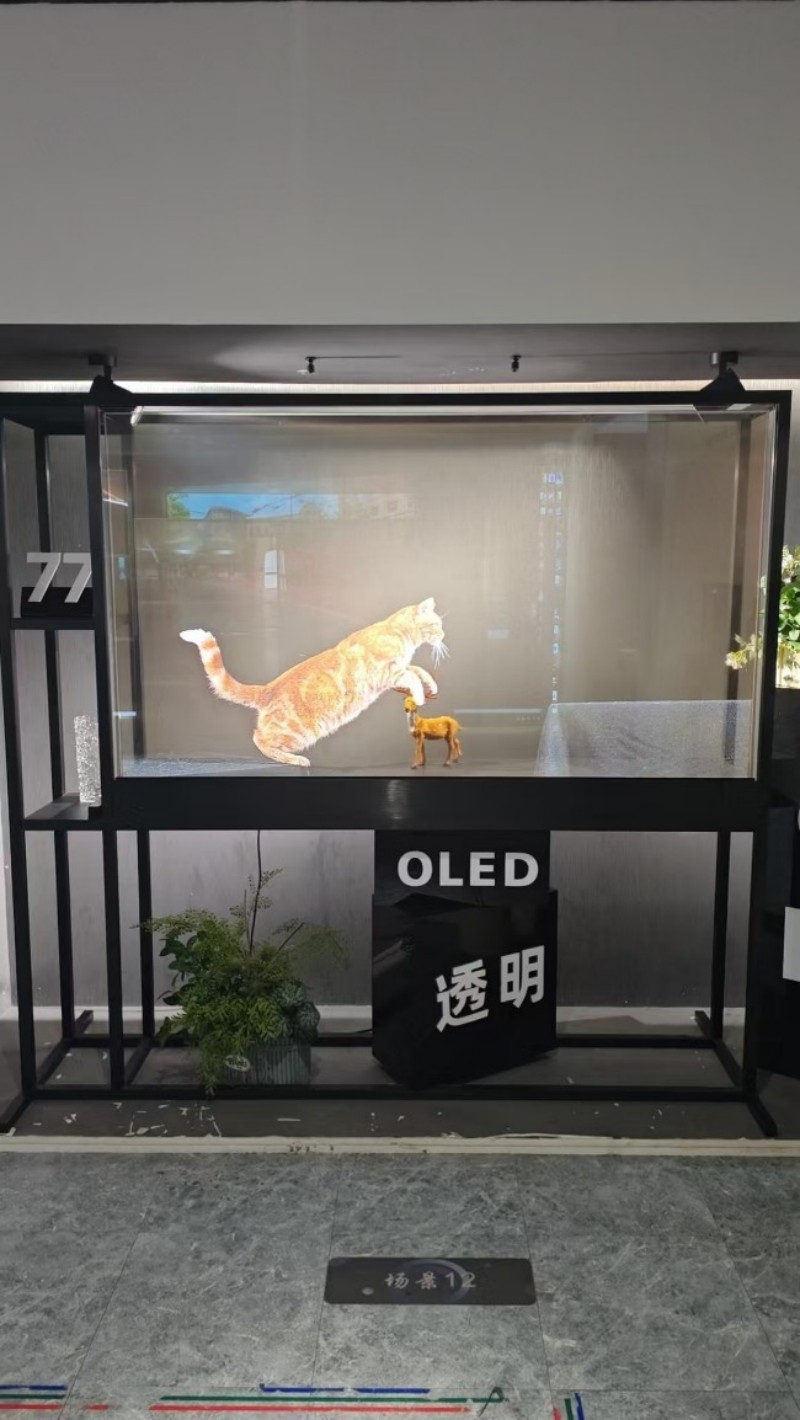 液晶屏 oled